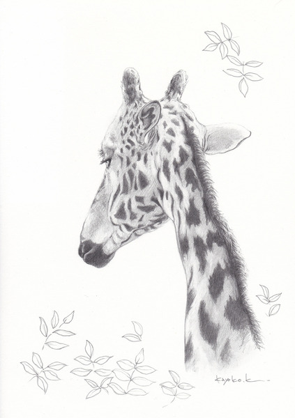 Zoo-portrait 07-