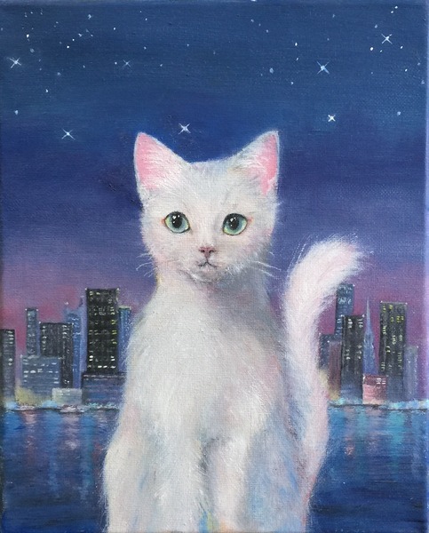 夜景と白猫さん
