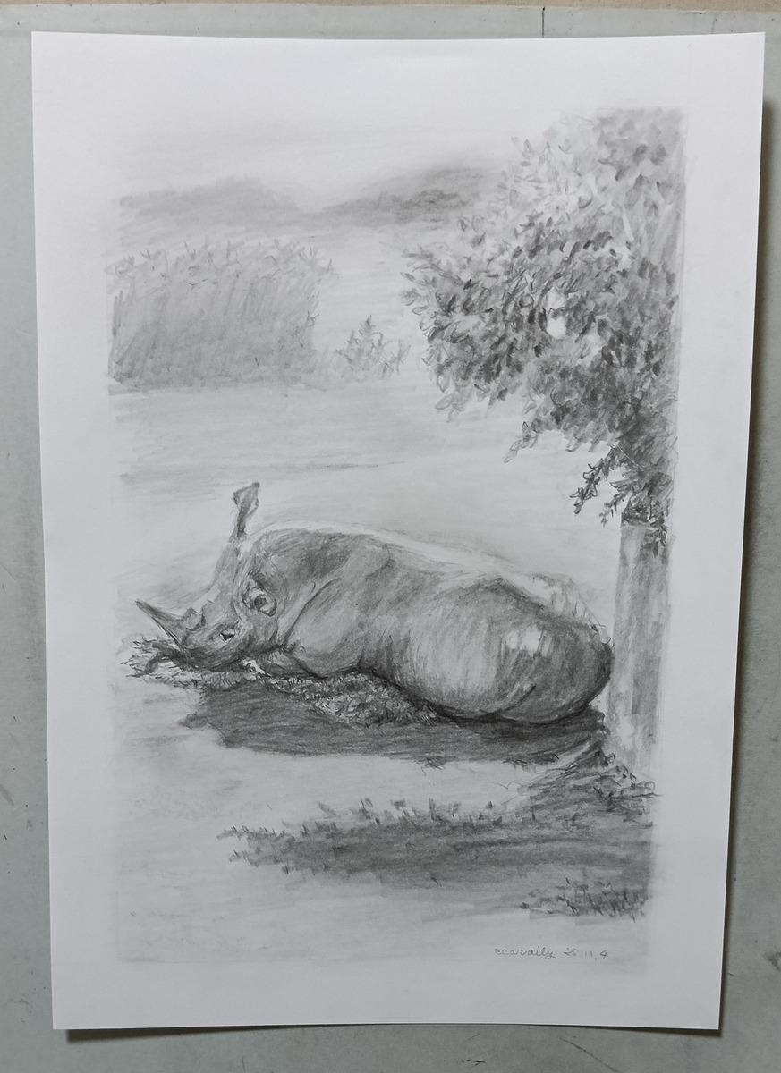 木陰で眠るサイ