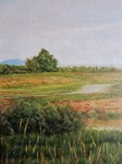 河川敷