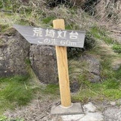 羽虫