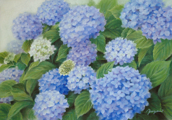 紫陽花」 by やよい｜Artmeter｜暮らしを彩るアートが、きっと