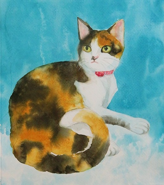 【原画】『雨上がりの空の下』（猫　絵画　パステル画　ハチドリ） 原画】『雨上がりの空の下』（猫 絵画 パステル画 ハチドリ）