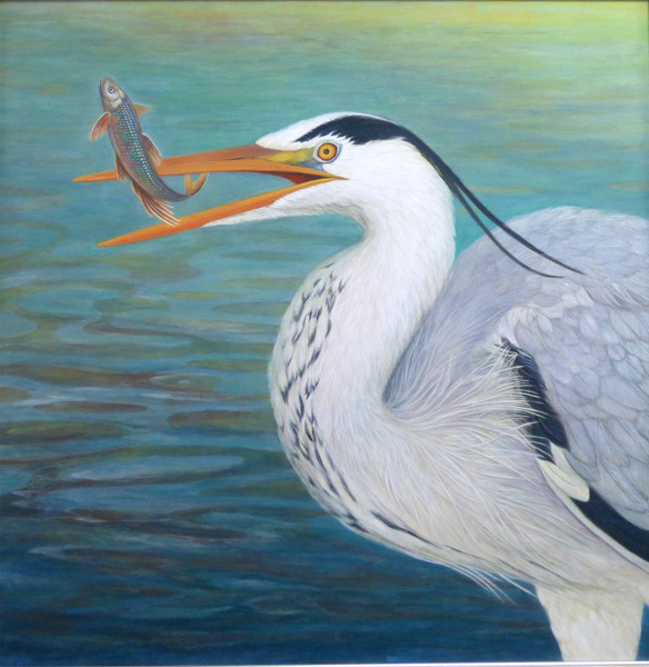 アオサギ油彩画 アオサギ」 by 御手洗理英｜Artmeter｜暮らしを彩るアートが