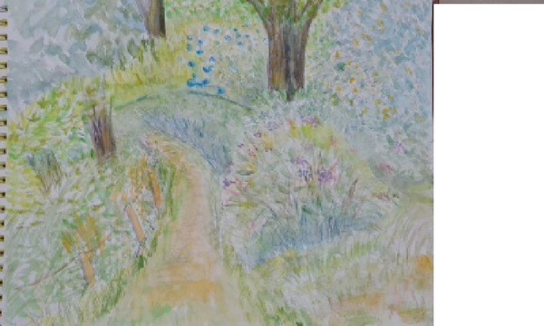 紫陽花の咲く小道