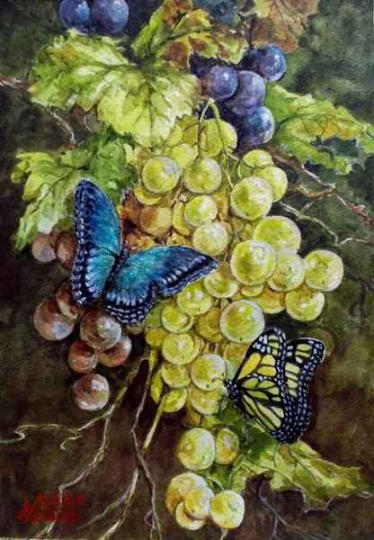 葡萄とモルフォ蝶