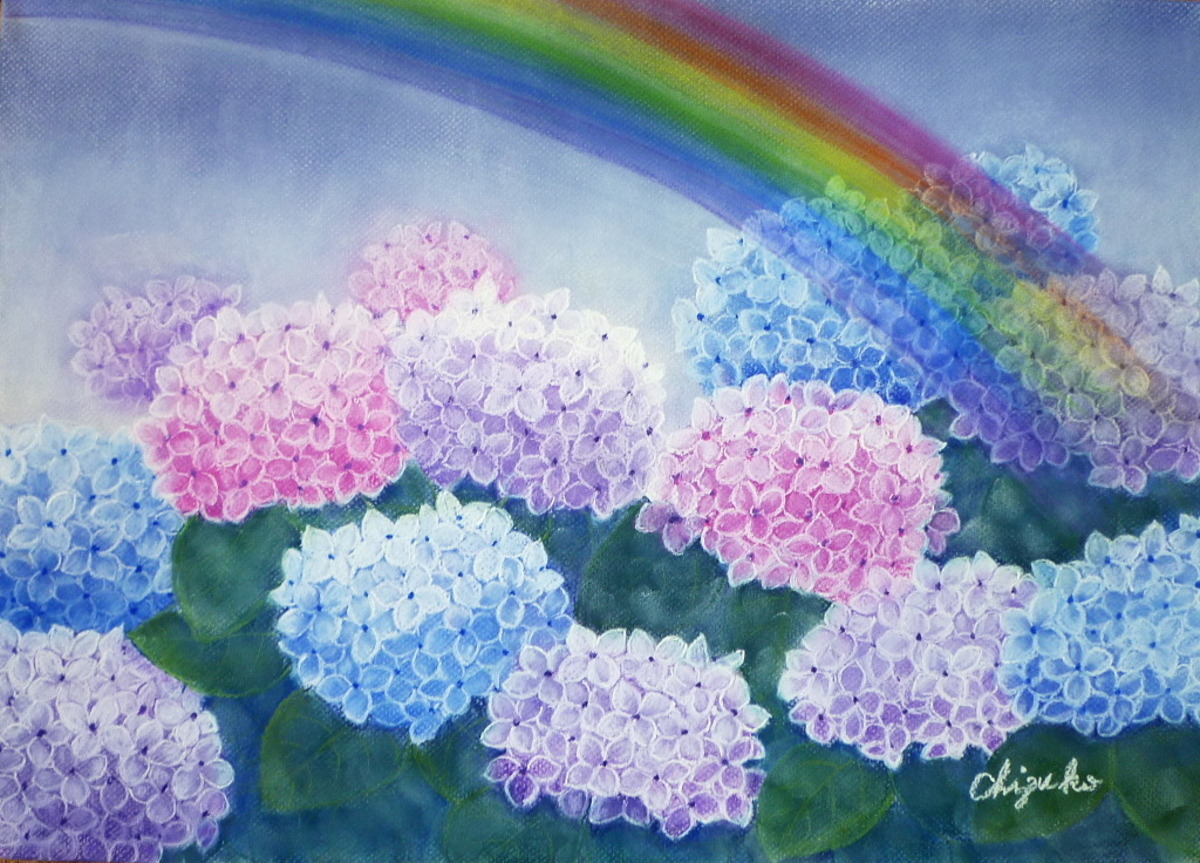 虹と紫陽花