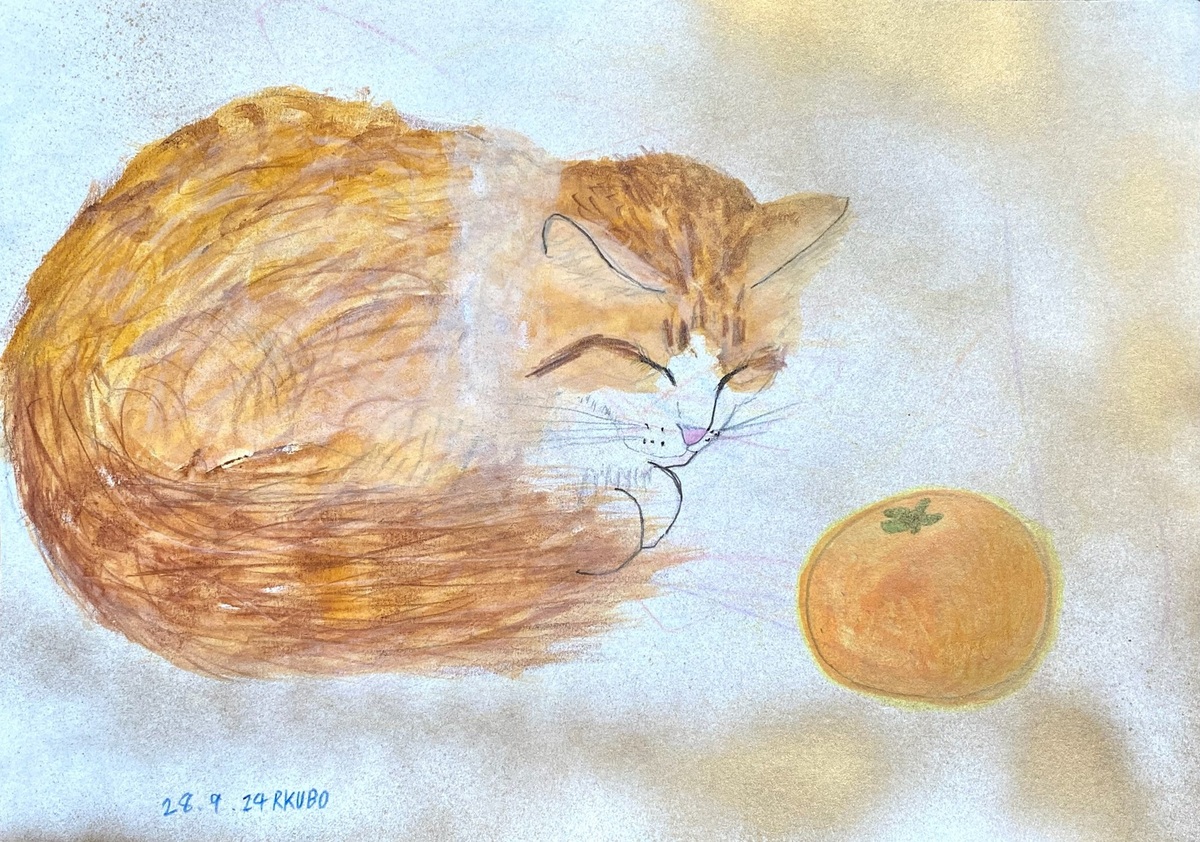 cat and orange