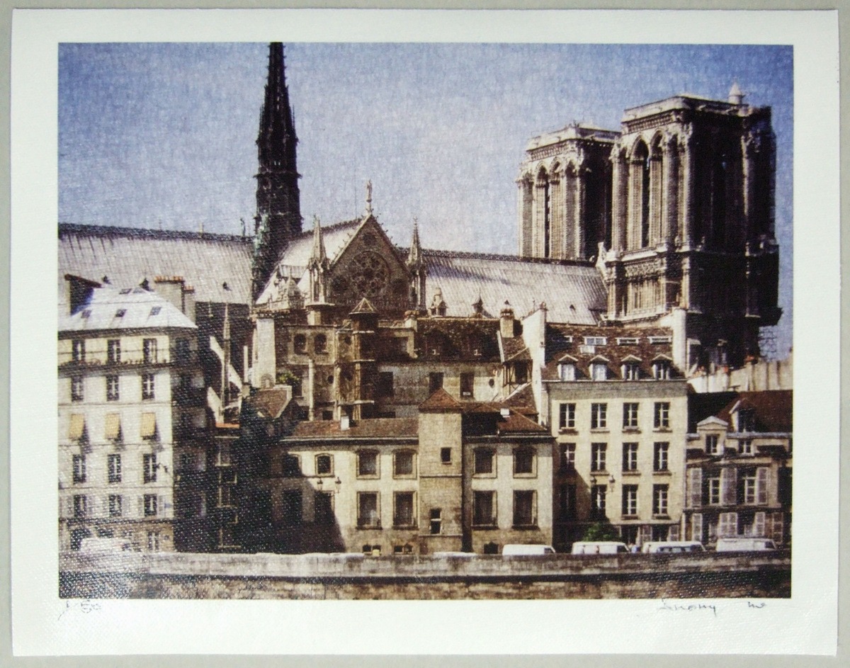 Cathédrale Notre-Dame de Paris / Paris (1/50)