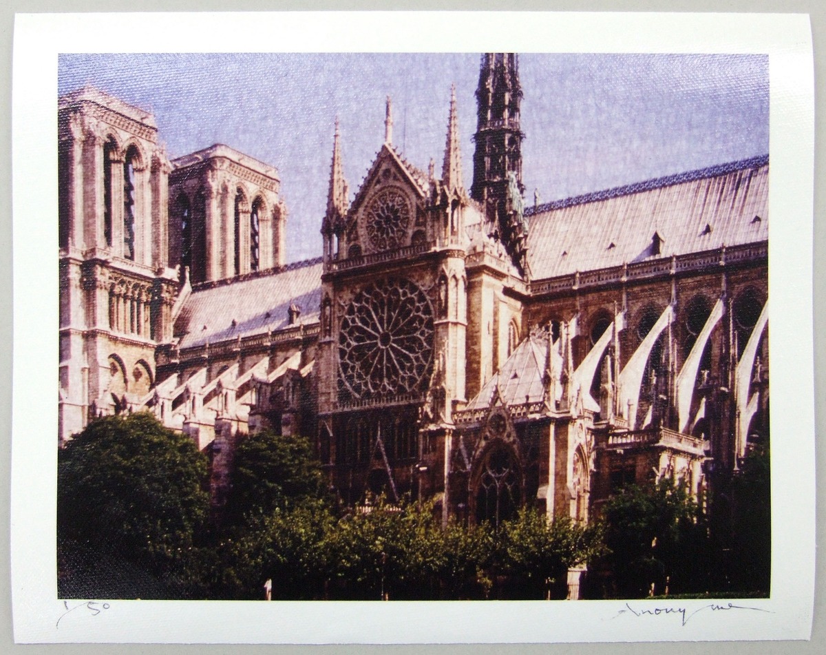 Cathédrale Notre-Dame de Paris / Paris (1/50)