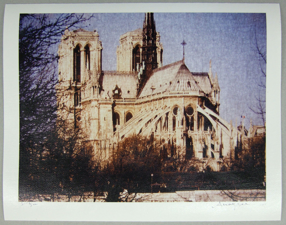 Cathédrale Notre-Dame de Paris / Paris (1/50)