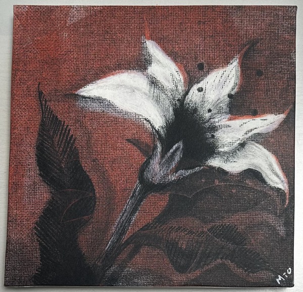 Square flower-2