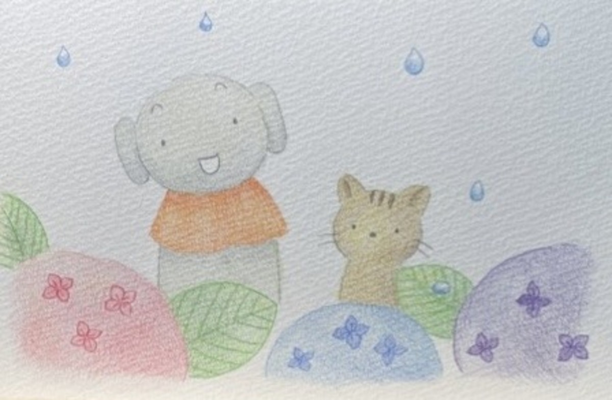 あじさいと雨
