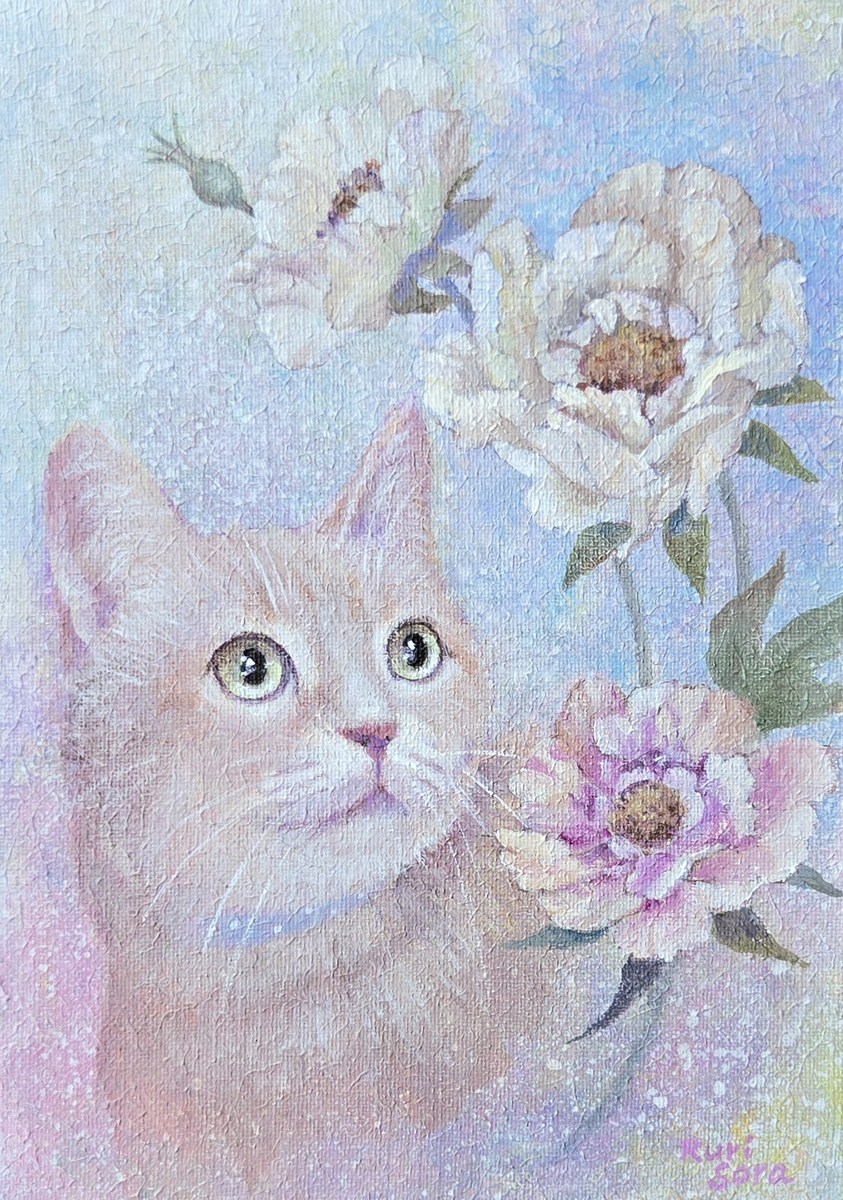 まなざし