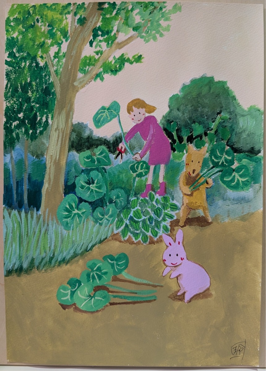 フキの収穫