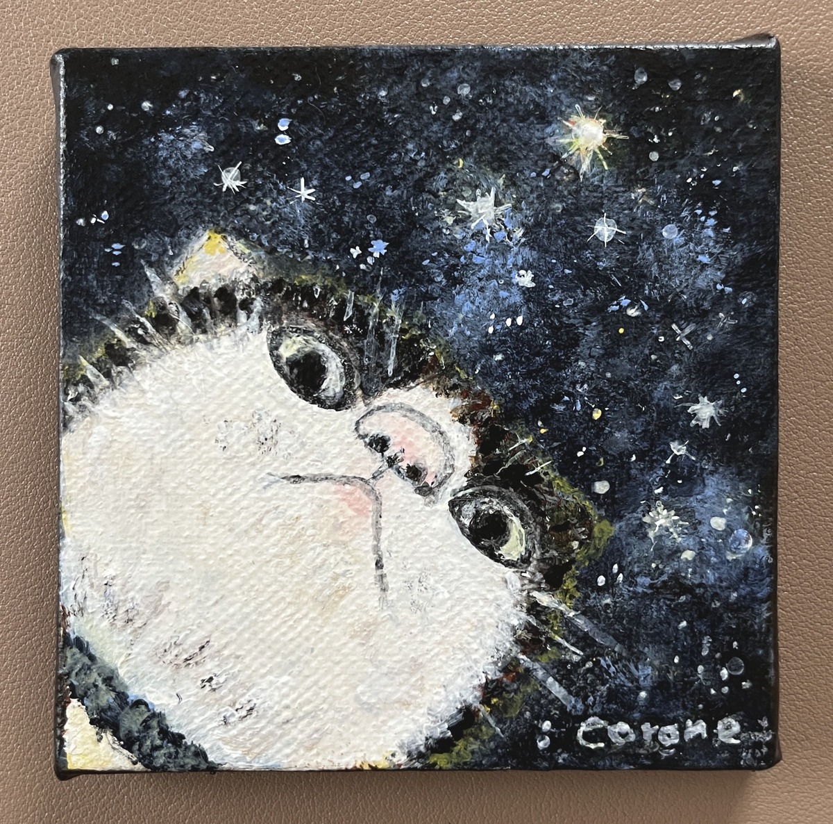 星空と猫