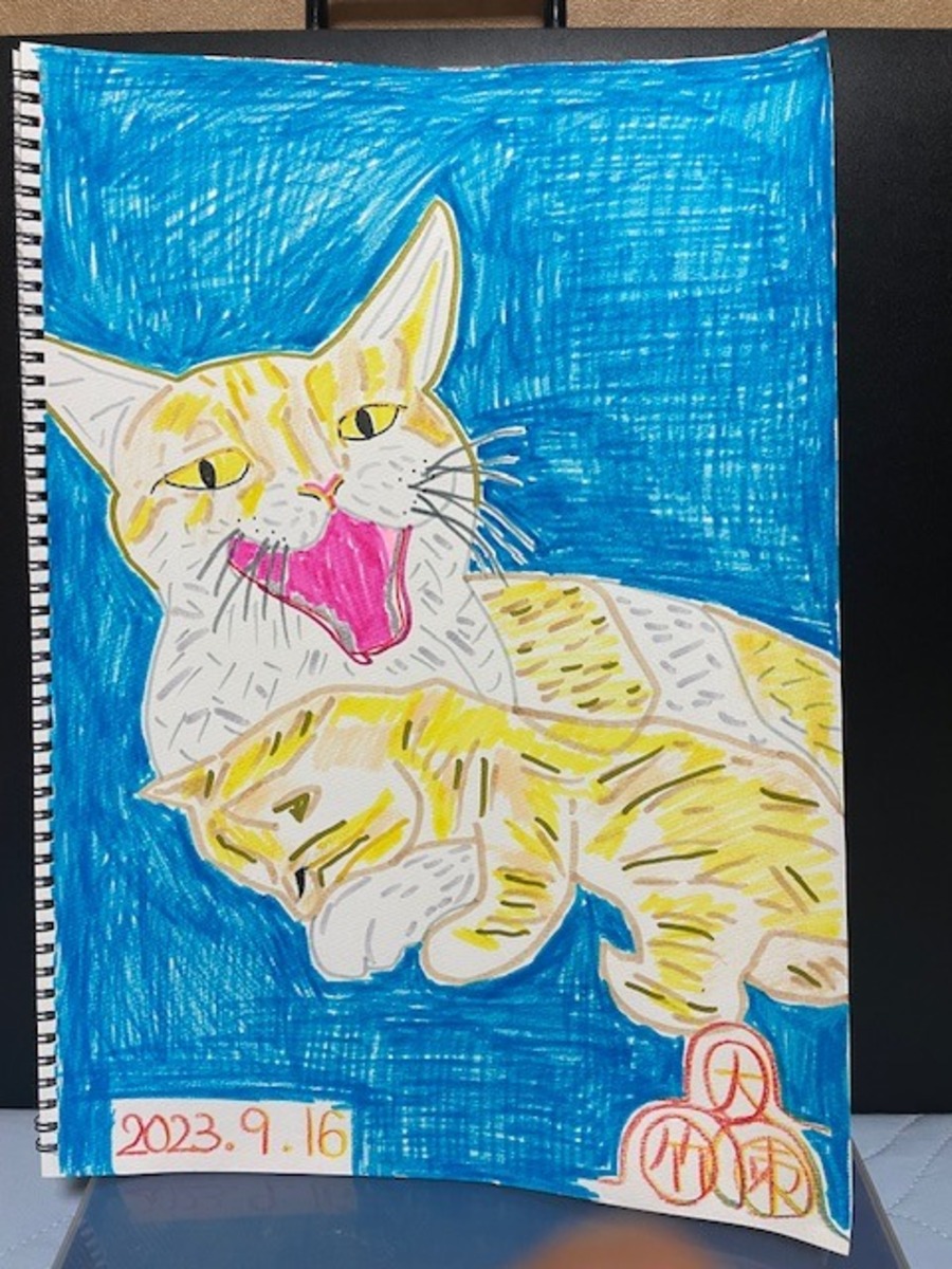 親猫