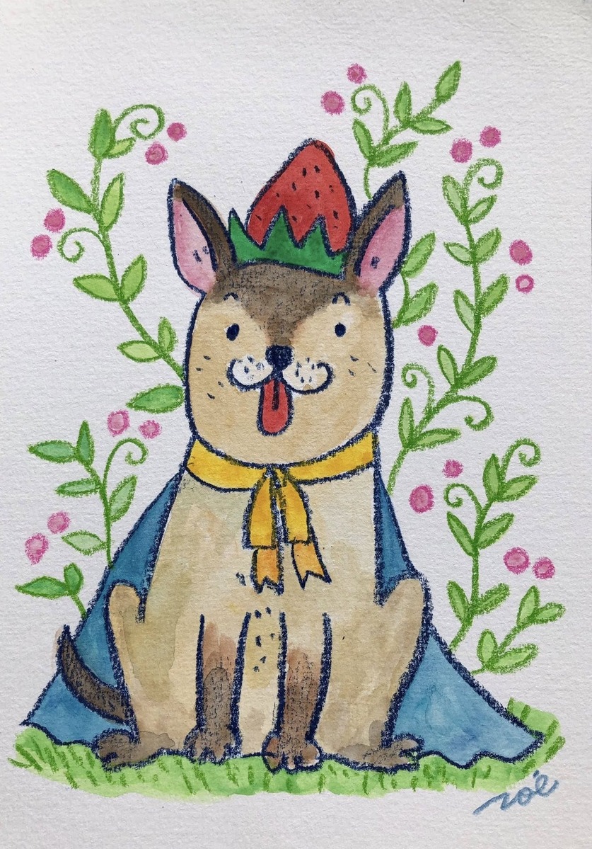 スカイベリーワンコさん