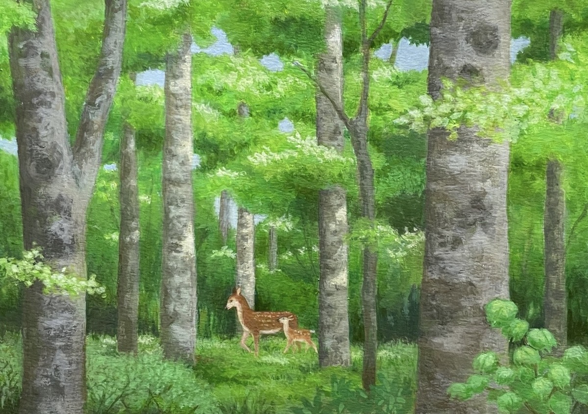 初夏の森を行く