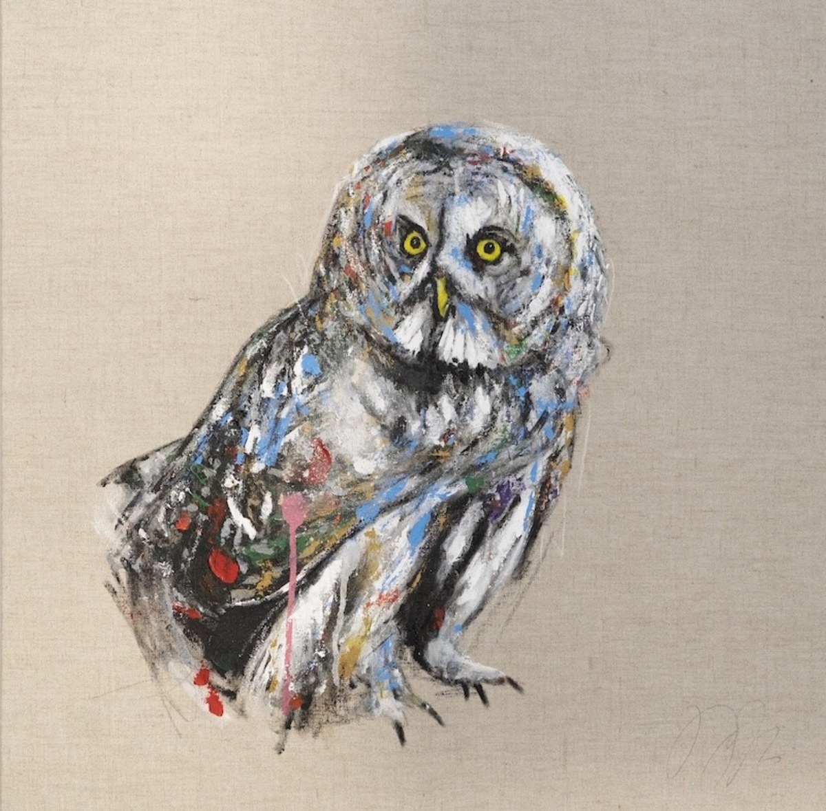 owl / フクロウ