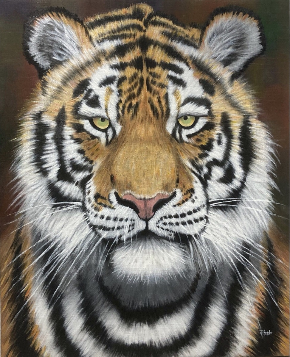Majestic Tiger