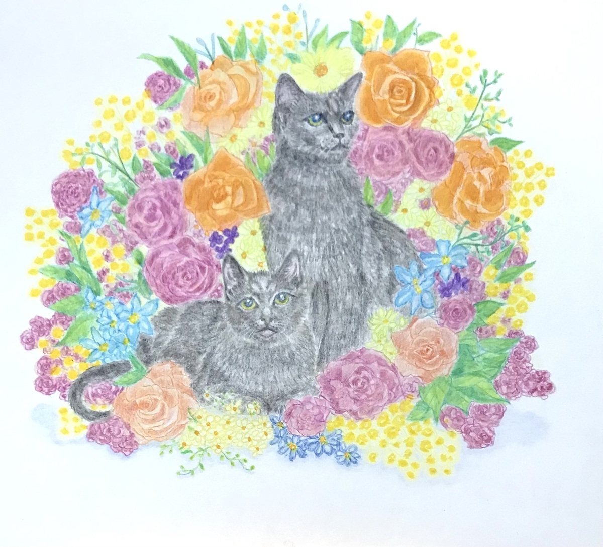 猫と花