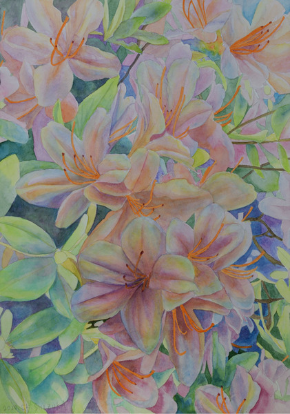 Blooming Light