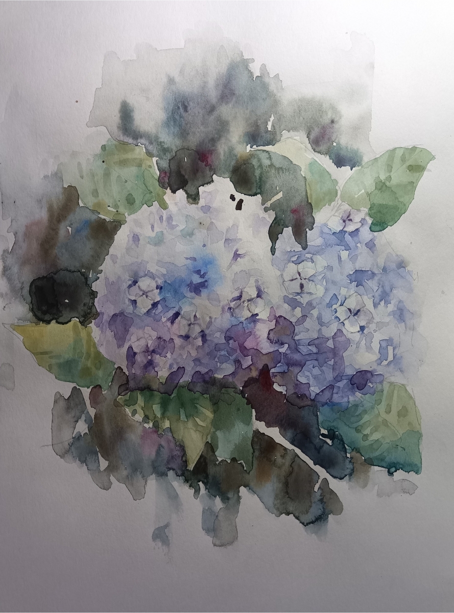 紫陽花
