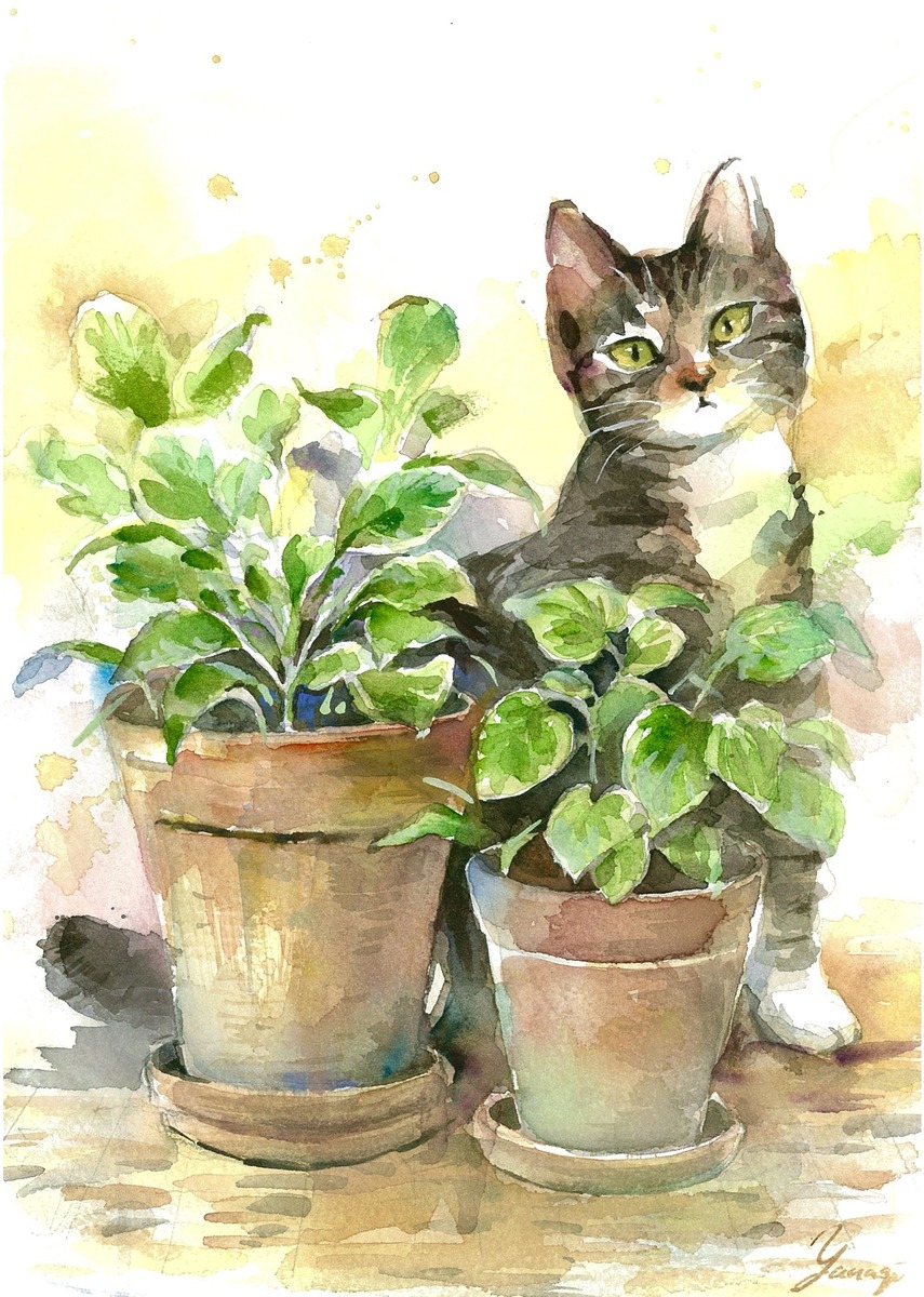 水彩画 原画 猫と植物