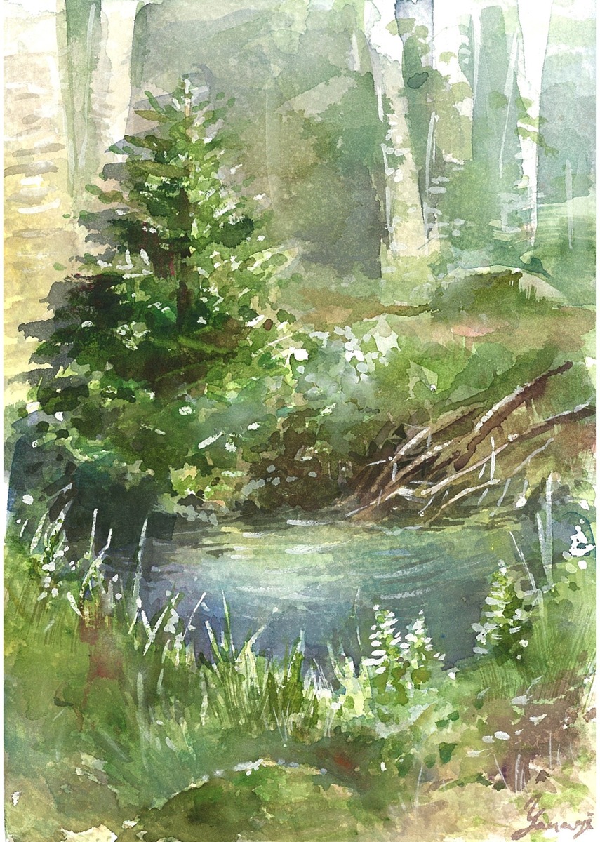 水彩画 原画 木々