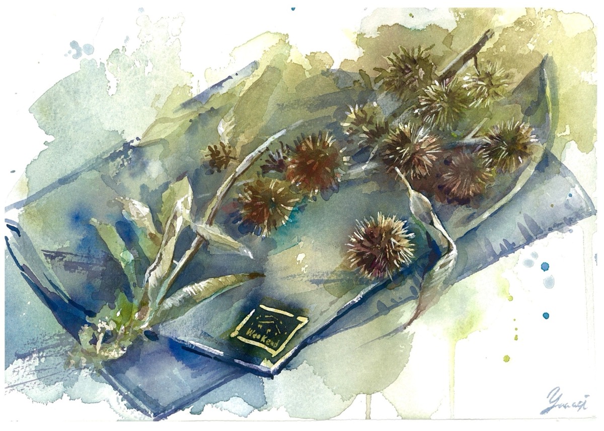 水彩画 原画 イガグリ