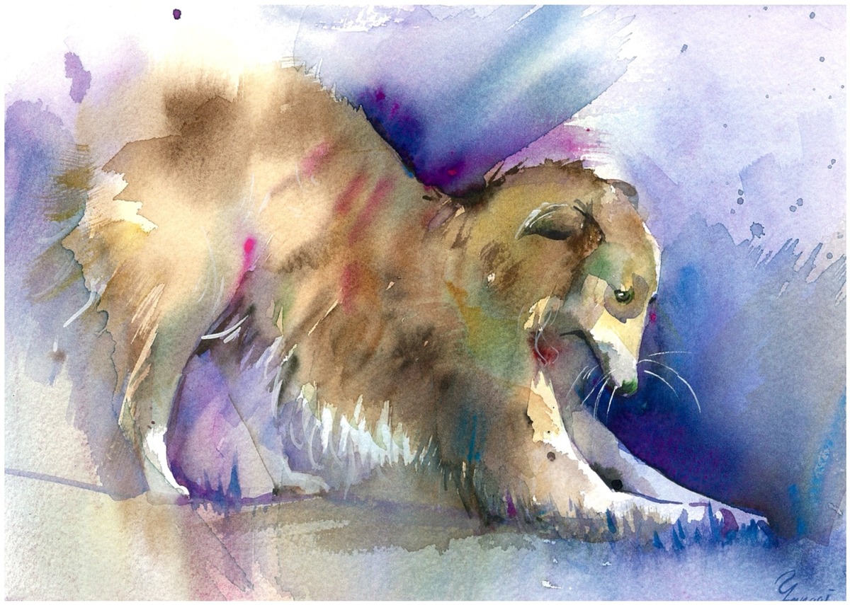 水彩画 原画 伸びゾイ