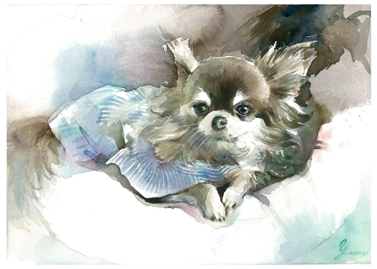 水彩画 原画 チワワ