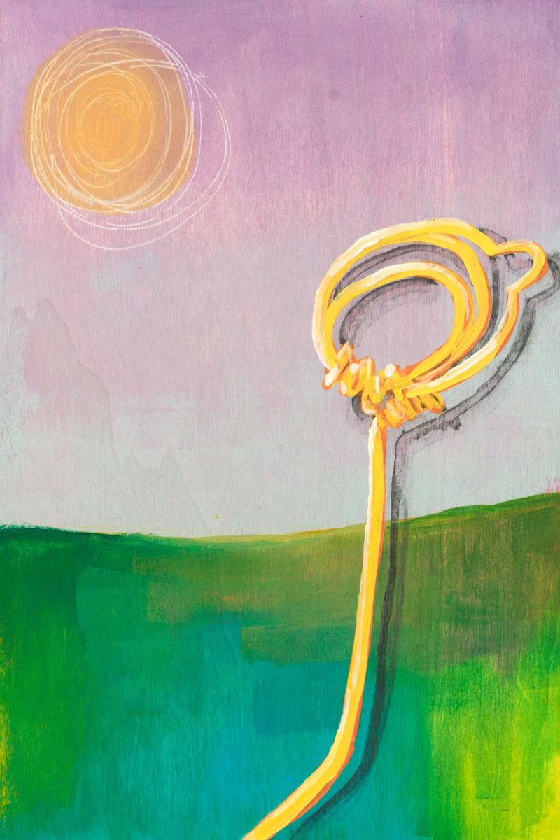 超越 transcendence