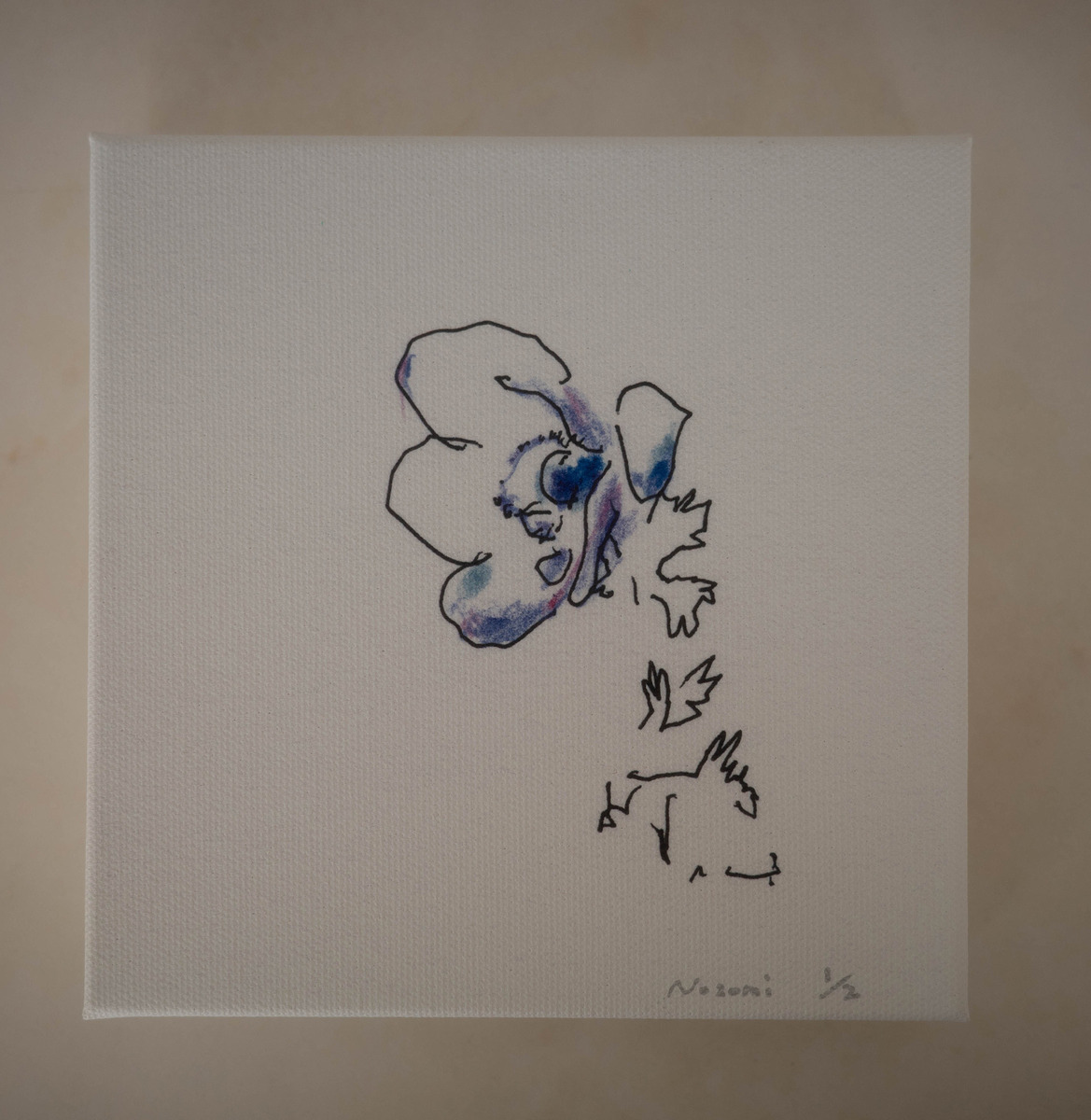 ブルーアネモネ・blue anemone (1/2)