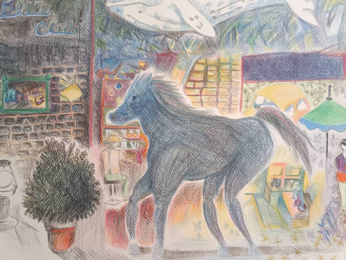 南国ファンタジーNo.5