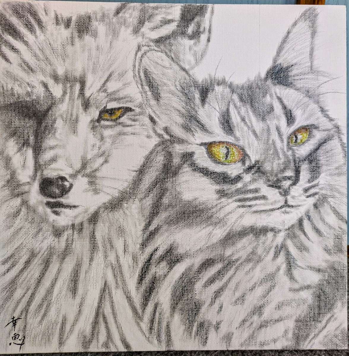 ソマリとキツネ