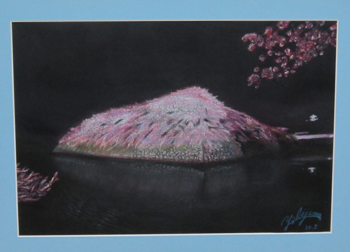 城の桜のライトアップ