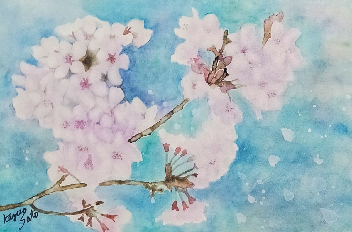 桜