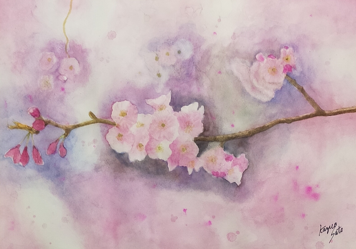 八重桜