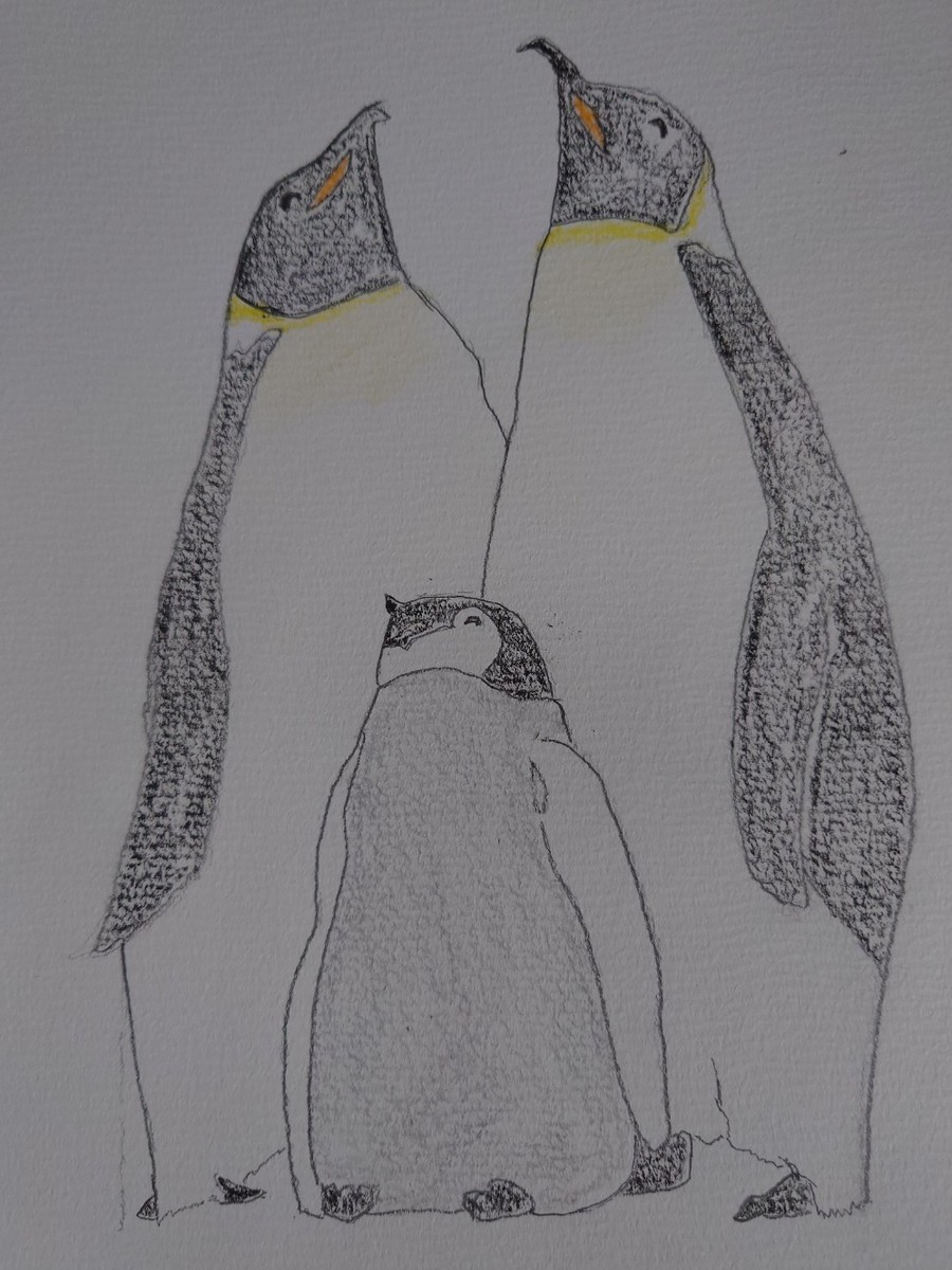 ペンギンの親子