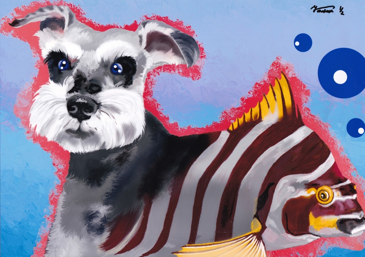 ミニチュアシュナウザー2 1/2