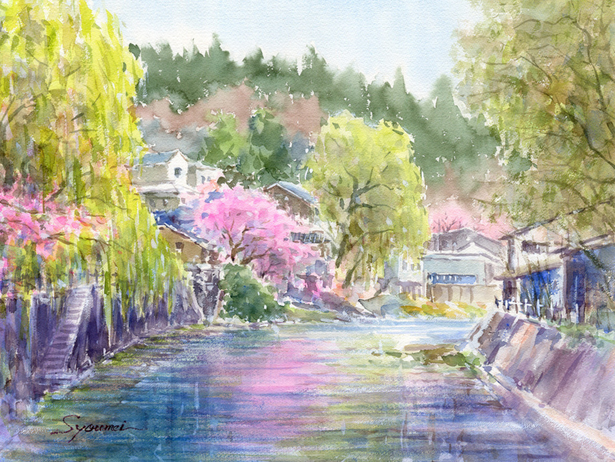 注文制作します・水彩画 桜・飛騨高山にて #212