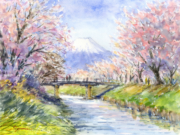 注文制作します・富士山と桜・忍野村から #720