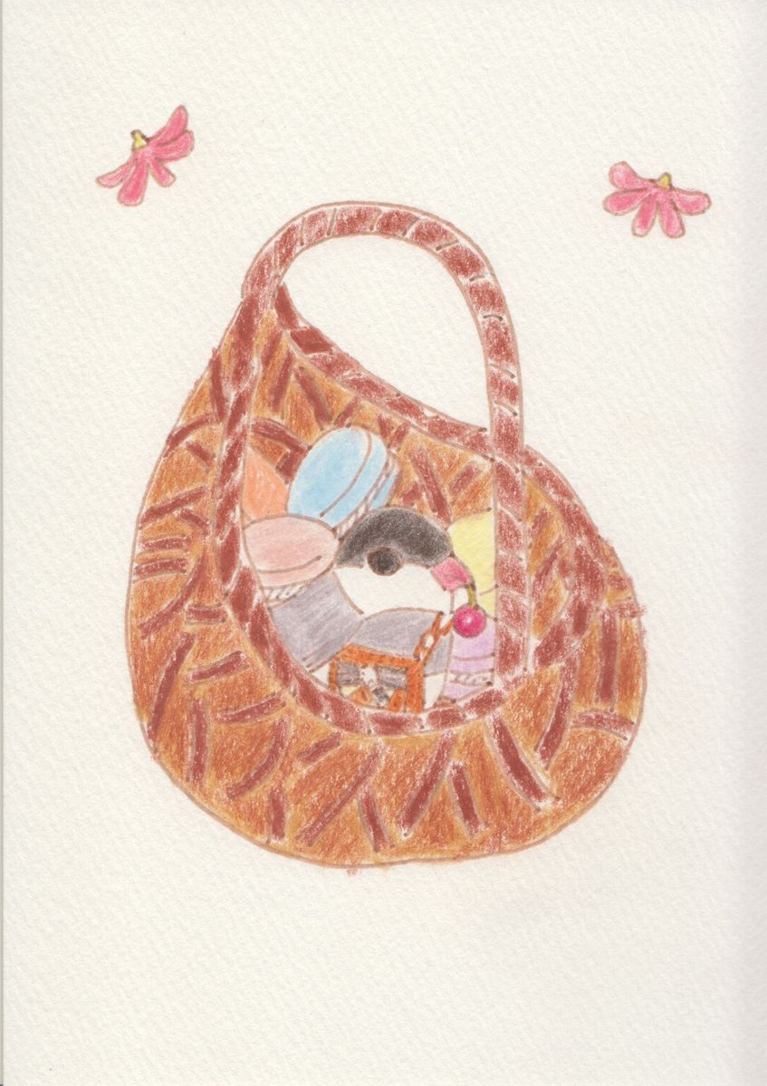 伝書文鳥とマカロン