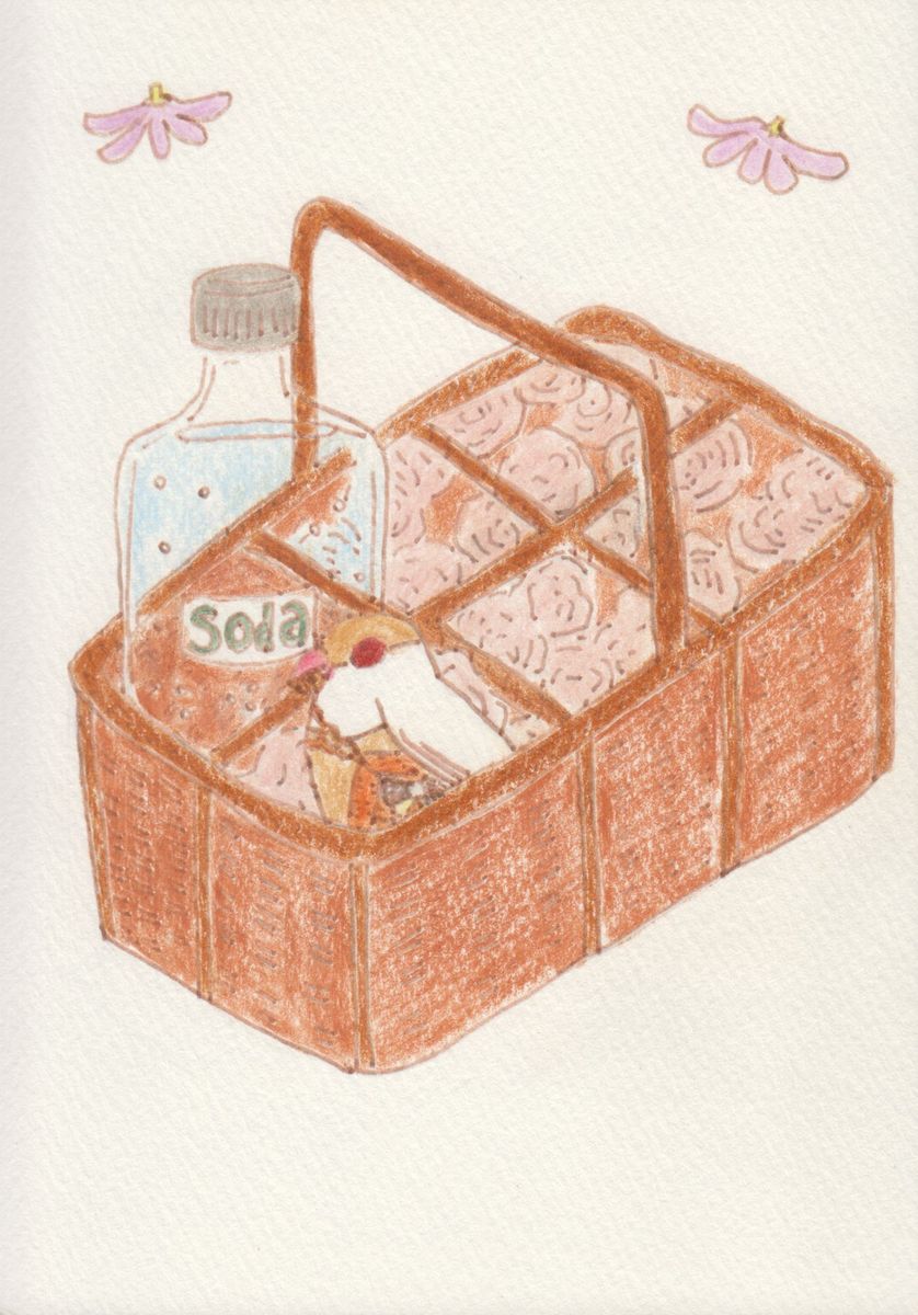 伝書文鳥とソーダ水