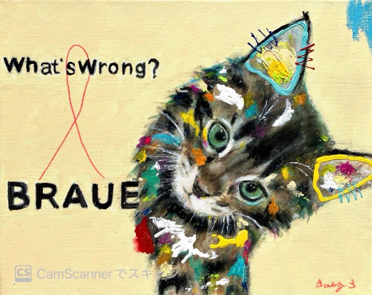 【BRAUE】キャンバスF3号