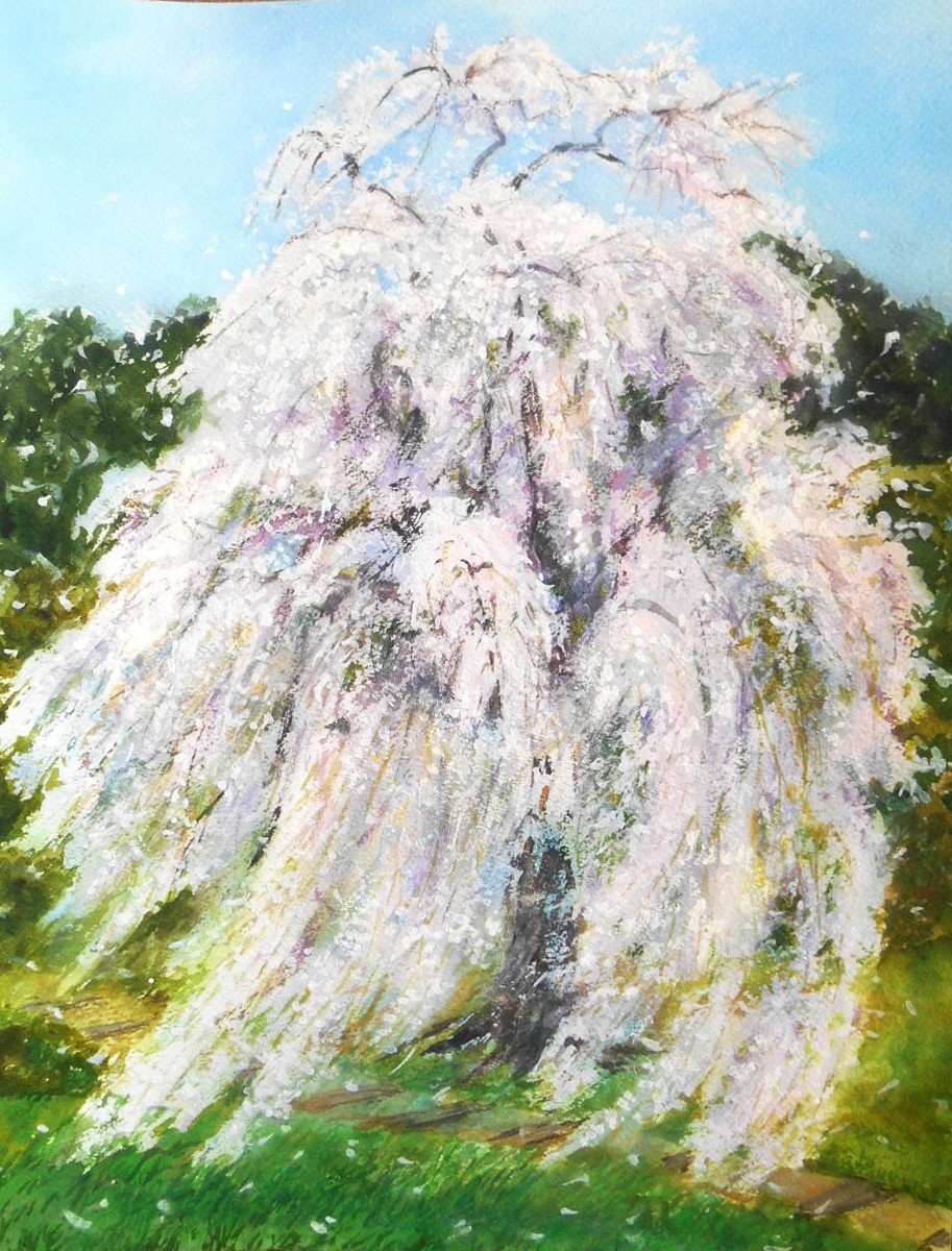 梅岩寺の枝垂れ桜