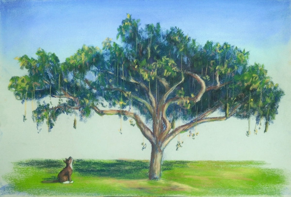 ソーセージツリーの下で