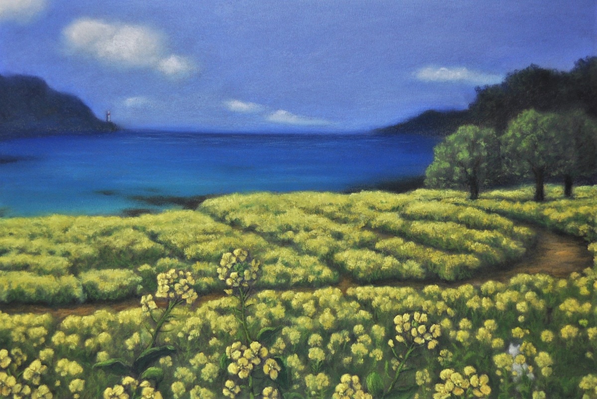 菜の花畑でかくれんぼ